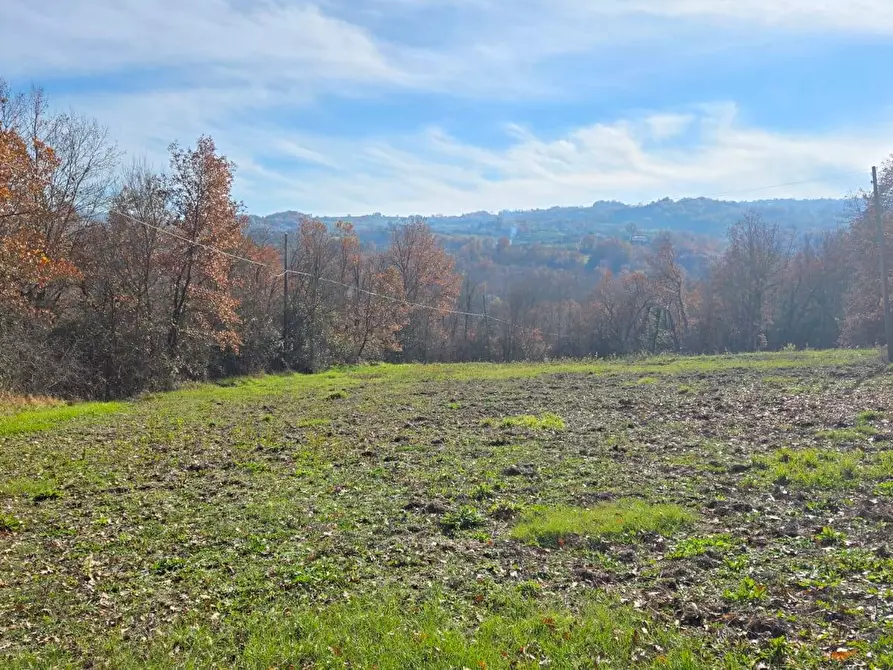 Immagine 11 di Terreno agricolo in vendita  in C/da Cipollara a Castelvetere Sul Calore