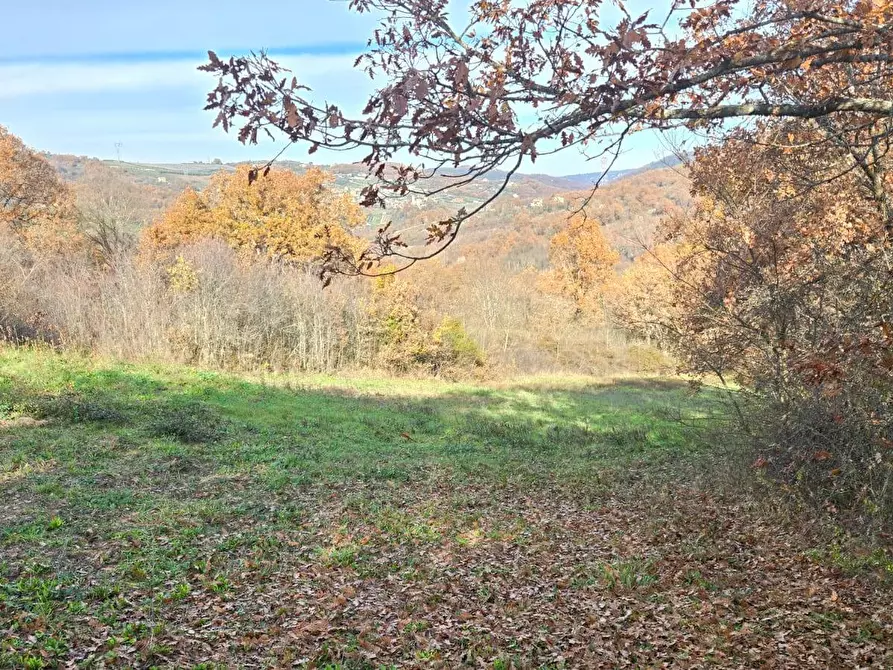 Immagine 13 di Terreno agricolo in vendita  in C/da Cipollara a Castelvetere Sul Calore