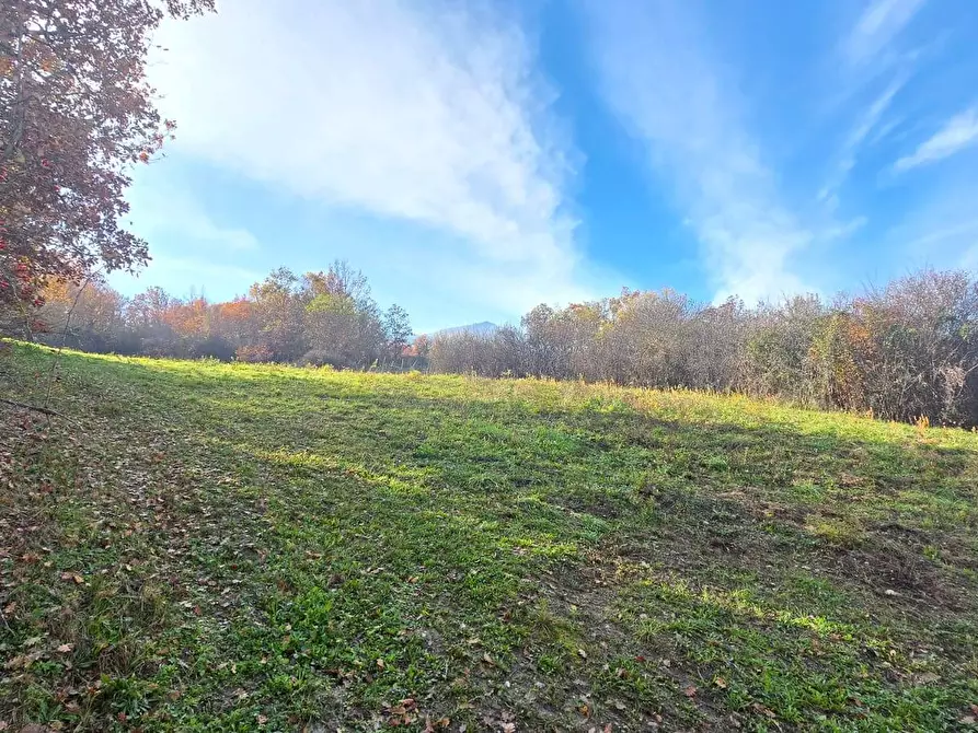 Immagine 14 di Terreno agricolo in vendita  in C/da Cipollara a Castelvetere Sul Calore