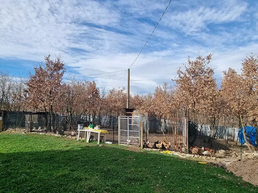 Immagine 9 di Casa indipendente in vendita  in Strada Vicinale Terzi a Parolise