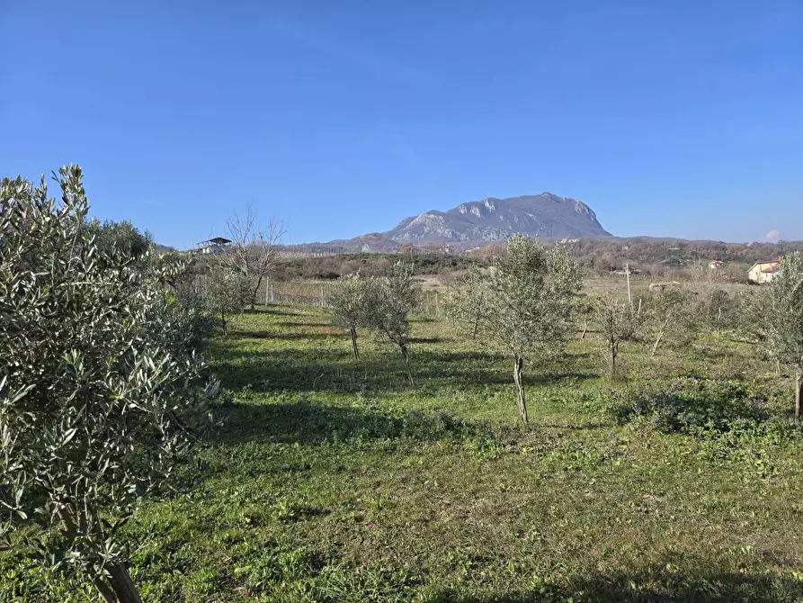 Immagine 1 di Terreno agricolo in vendita  in via Santo Stefano a Montemarano