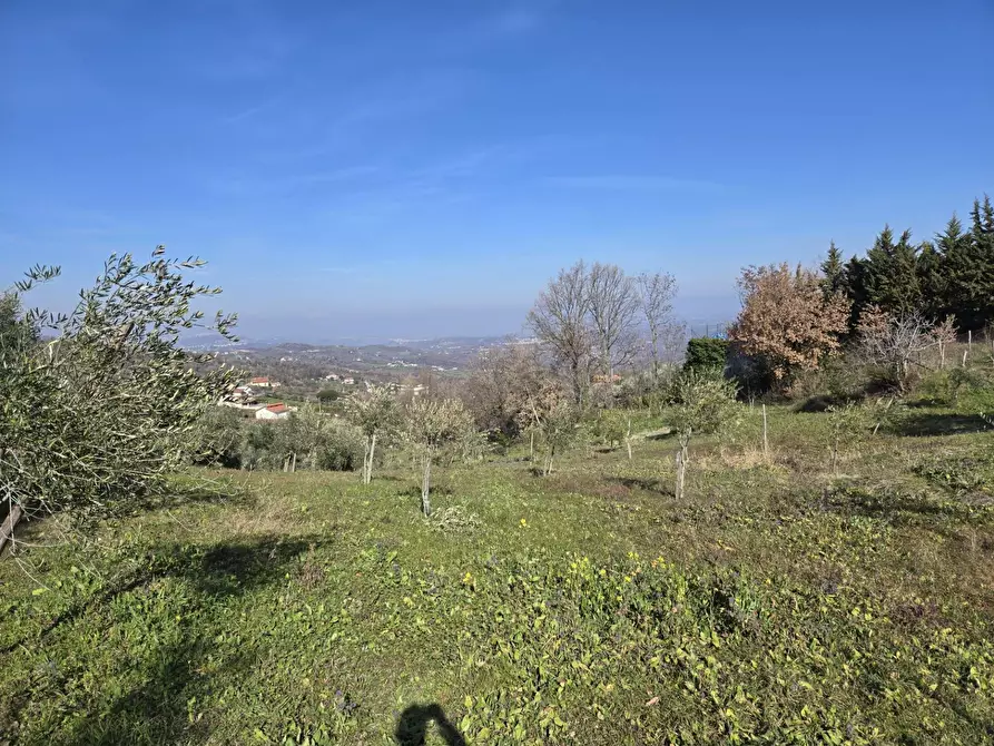 Immagine 2 di Terreno agricolo in vendita  in via Santo Stefano a Montemarano