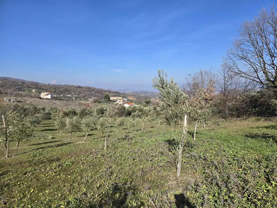 Immagine 3 di Terreno agricolo in vendita  in via Santo Stefano a Montemarano