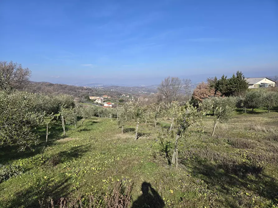 Immagine 4 di Terreno agricolo in vendita  in via Santo Stefano a Montemarano