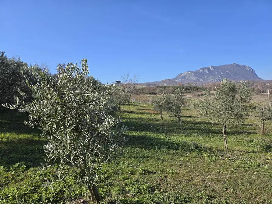 Immagine 5 di Terreno agricolo in vendita  in via Santo Stefano a Montemarano