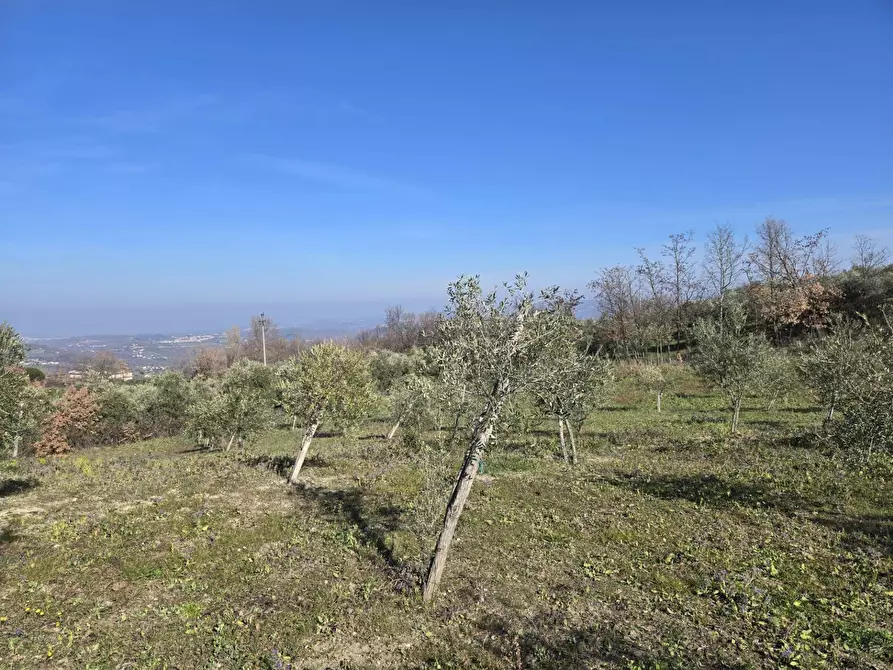 Immagine 6 di Terreno agricolo in vendita  in via Santo Stefano a Montemarano
