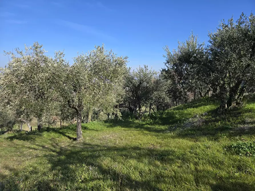 Immagine 9 di Terreno agricolo in vendita  in via Santo Stefano a Montemarano