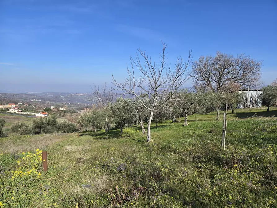 Immagine 12 di Terreno agricolo in vendita  in via Santo Stefano a Montemarano