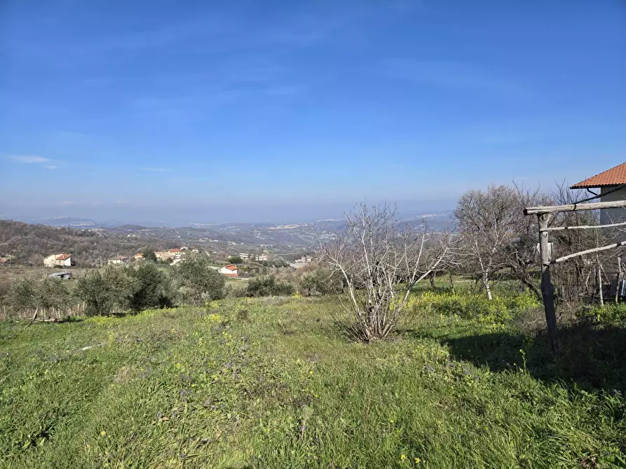 Immagine 13 di Terreno agricolo in vendita  in via Santo Stefano a Montemarano