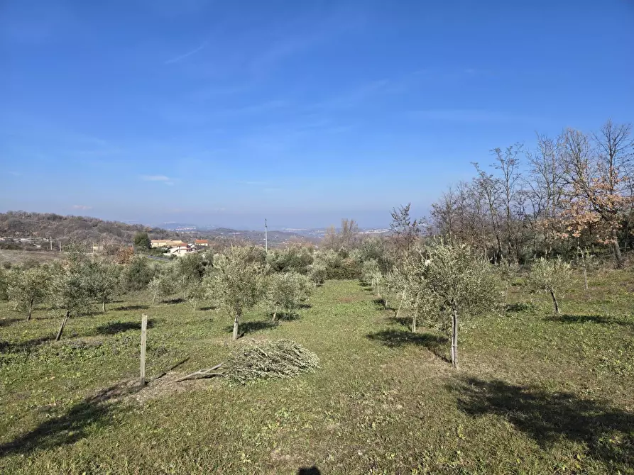 Immagine 18 di Terreno agricolo in vendita  in via Santo Stefano a Montemarano
