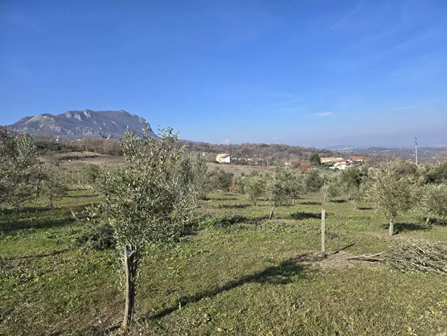 Immagine 19 di Terreno agricolo in vendita  in via Santo Stefano a Montemarano