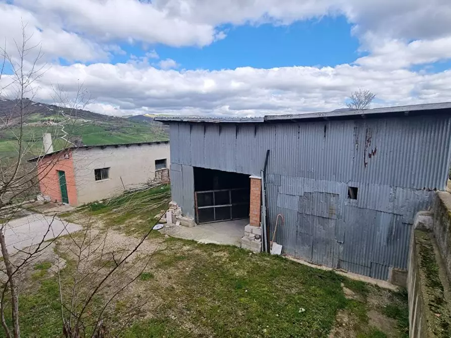 Immagine 8 di Casa indipendente in vendita  in C.da Scampata 20 a Andretta