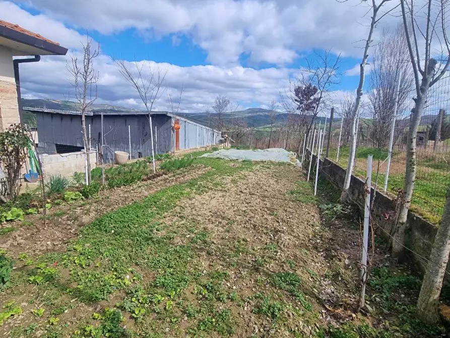 Immagine 14 di Casa indipendente in vendita  in C.da Scampata 20 a Andretta