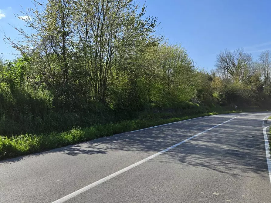 Immagine 3 di Terreno agricolo in vendita  in Via variante a Pratola Serra