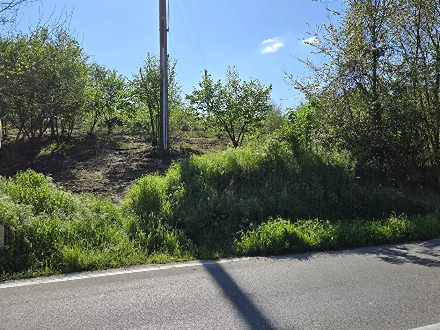 Immagine 4 di Terreno agricolo in vendita  in Via variante a Pratola Serra