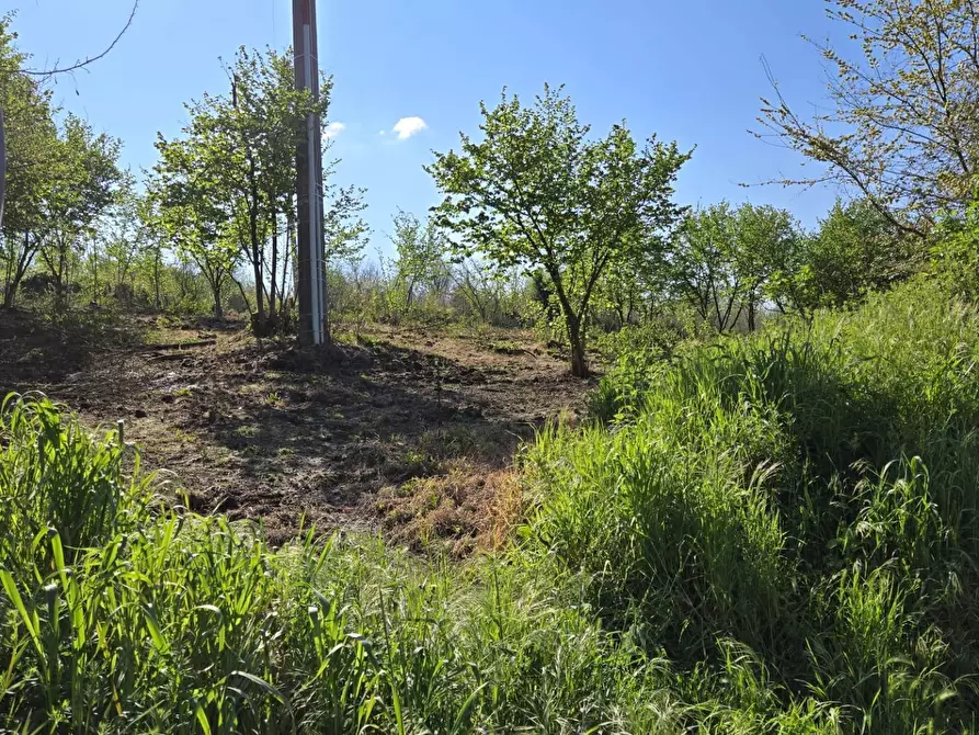 Immagine 5 di Terreno agricolo in vendita  in Via variante a Pratola Serra