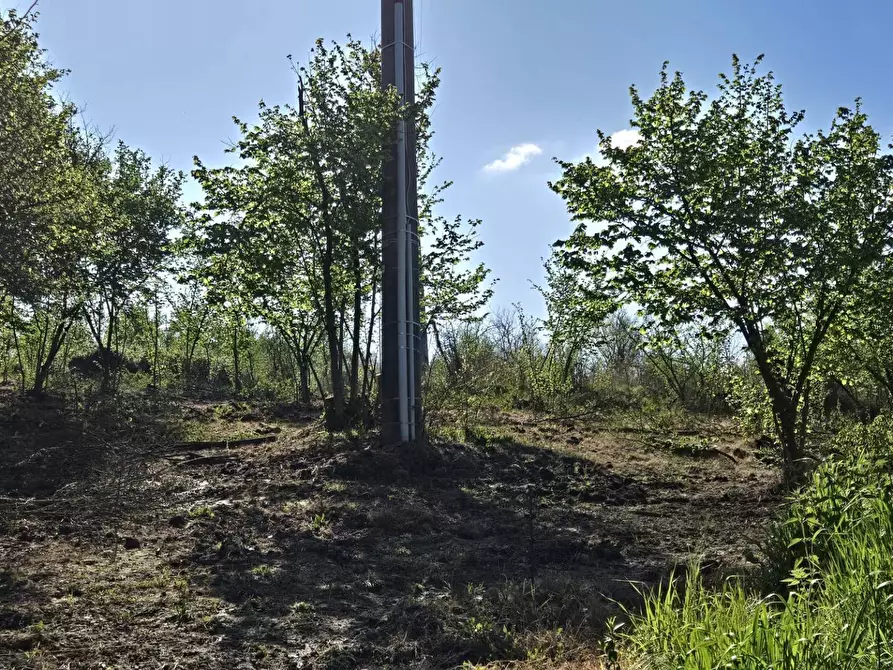 Immagine 6 di Terreno agricolo in vendita  in Via variante a Pratola Serra