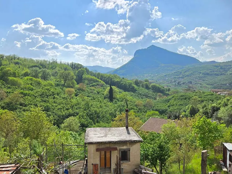 Immagine 4 di Casa indipendente in vendita  in c/da Bosco a Aiello Del Sabato