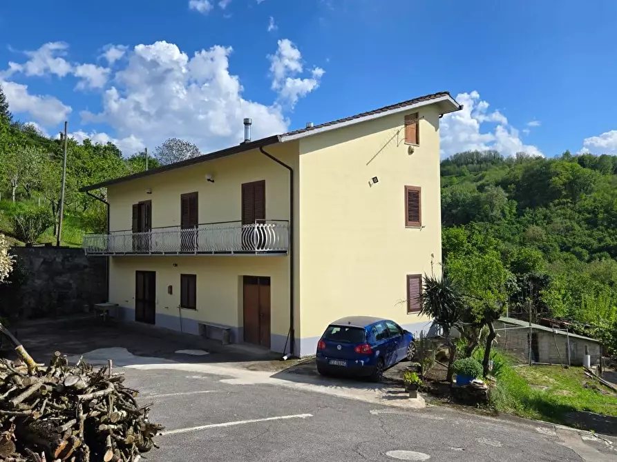 Immagine 23 di Casa indipendente in vendita  in c/da Bosco a Aiello Del Sabato