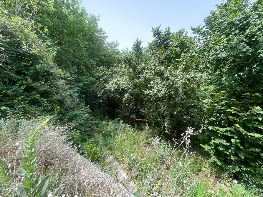 Immagine 17 di Villa in vendita  in Cupa Lauri a Atripalda