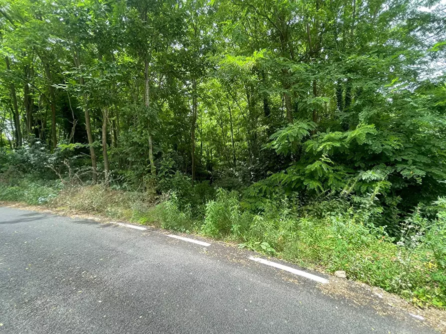 Immagine 18 di Villa in vendita  in Cupa Lauri a Atripalda