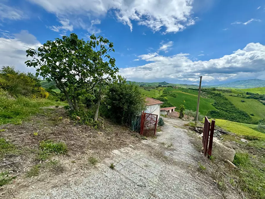 Immagine 10 di Casa indipendente in vendita  in CONTRADA PISCIOLI a Greci