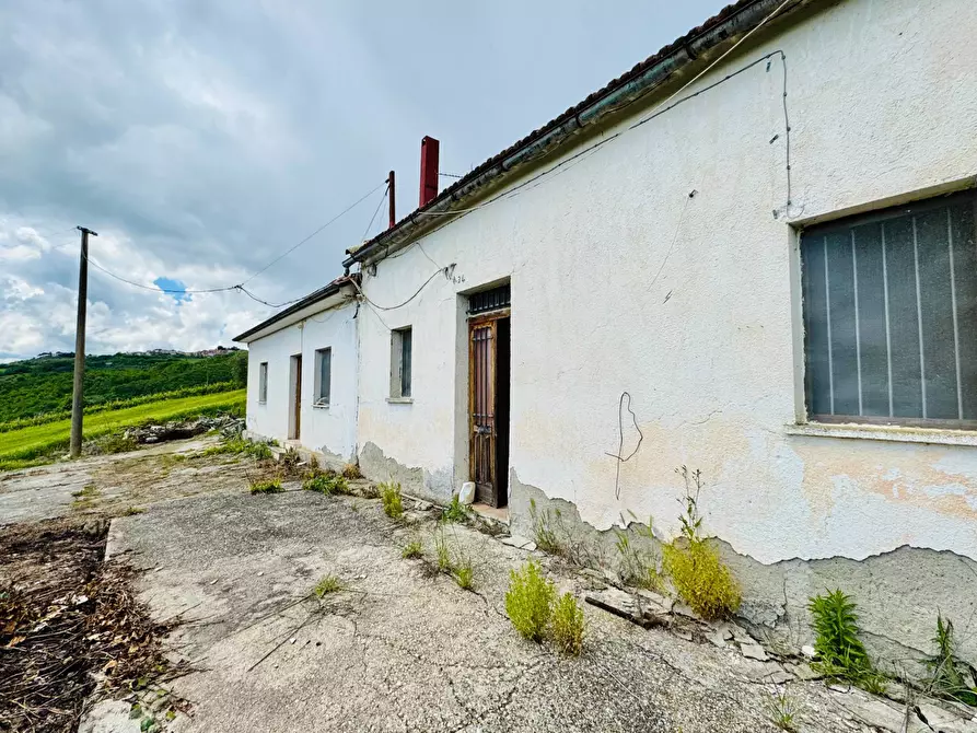 Immagine 2 di Casa indipendente in vendita  in CONTRADA PISCIOLI a Greci