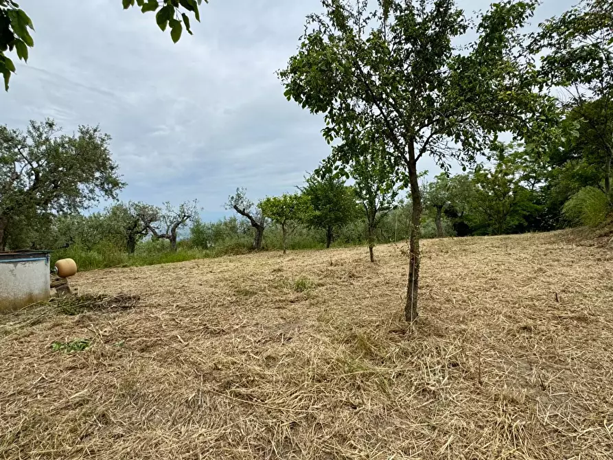 Immagine 9 di Casa indipendente in vendita  in CONTRADA CALVANO 60 a Apice