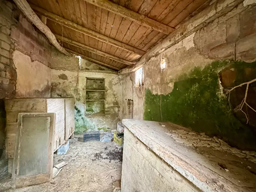 Immagine 20 di Casa indipendente in vendita  in CONTRADA CALVANO 60 a Apice