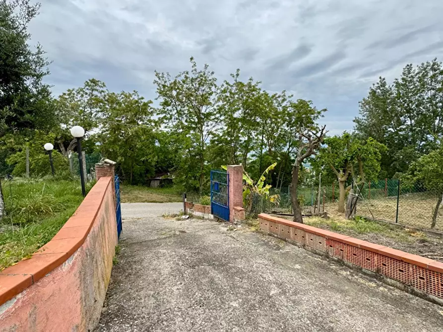 Immagine 5 di Casa indipendente in vendita  in CONTRADA CALVANO 60 a Apice