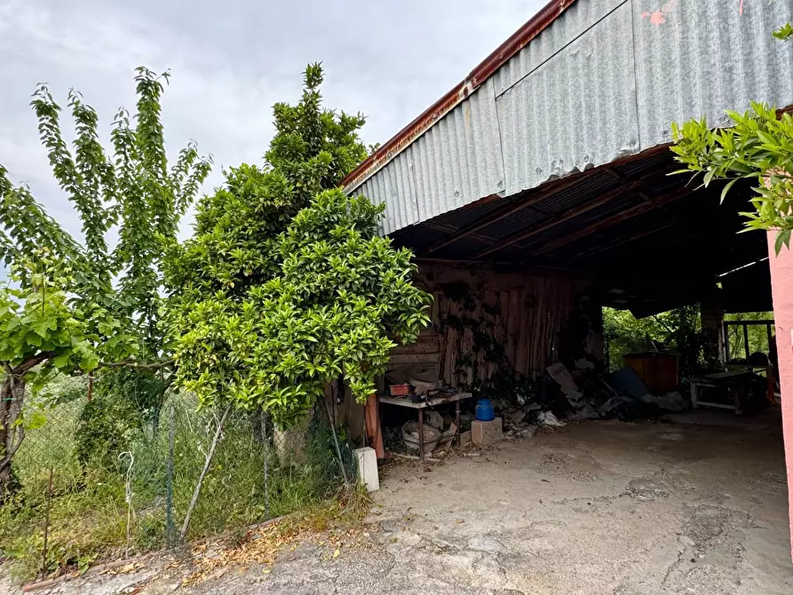 Immagine 7 di Casa indipendente in vendita  in CONTRADA CALVANO 60 a Apice