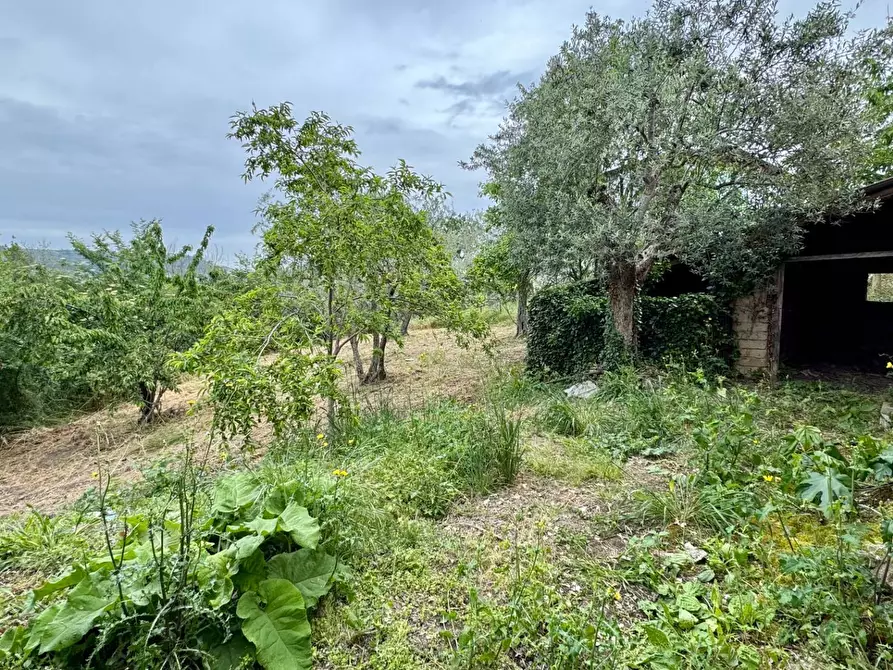 Immagine 8 di Casa indipendente in vendita  in CONTRADA CALVANO 60 a Apice