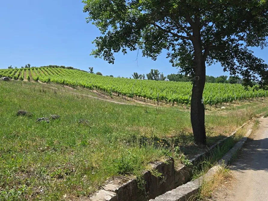 Immagine 1 di Terreno agricolo in vendita  in località Candriano a Paternopoli