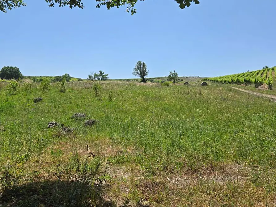 Immagine 5 di Terreno agricolo in vendita  in località Candriano a Paternopoli