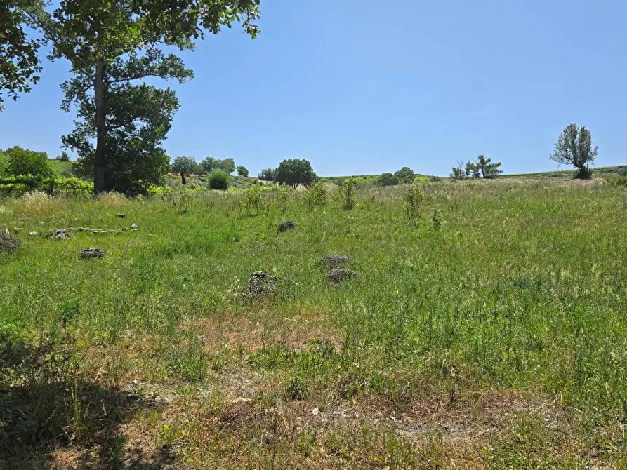 Immagine 6 di Terreno agricolo in vendita  in località Candriano a Paternopoli