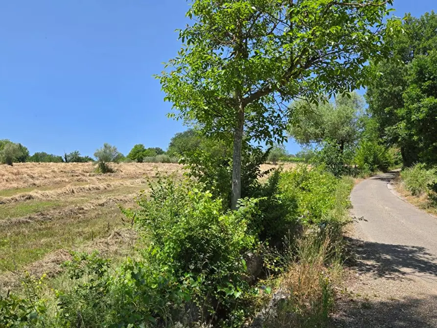 Immagine 8 di Terreno agricolo in vendita  in località Candriano a Paternopoli