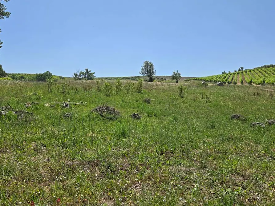 Immagine 9 di Terreno agricolo in vendita  in località Candriano a Paternopoli