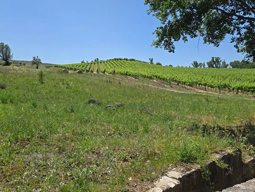 Immagine 10 di Terreno agricolo in vendita  in località Candriano a Paternopoli