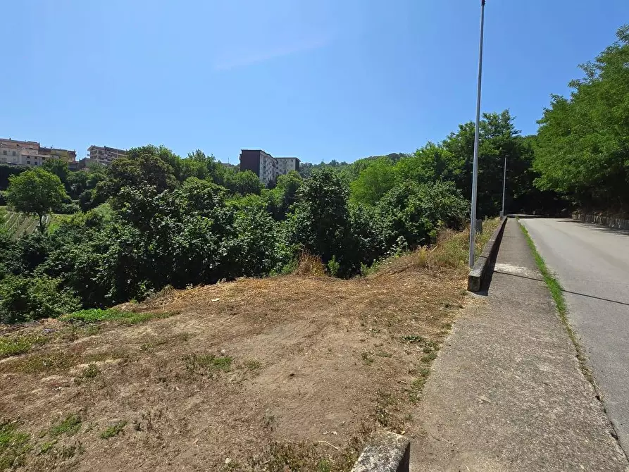 Immagine 1 di Terreno agricolo in vendita  in Strada Provinciale 85 a Altavilla Irpina