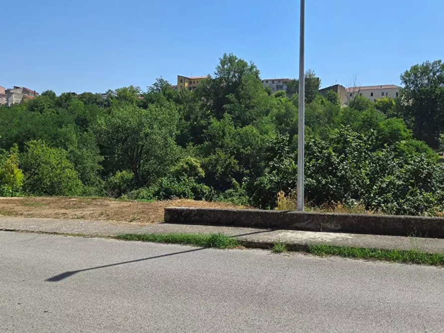 Immagine 2 di Terreno agricolo in vendita  in Strada Provinciale 85 a Altavilla Irpina