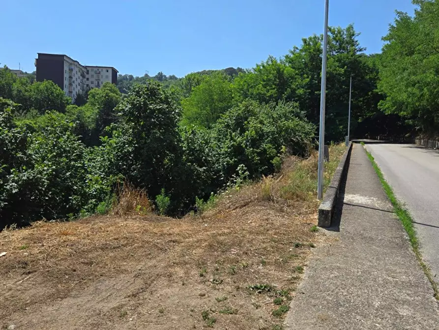 Immagine 3 di Terreno agricolo in vendita  in Strada Provinciale 85 a Altavilla Irpina