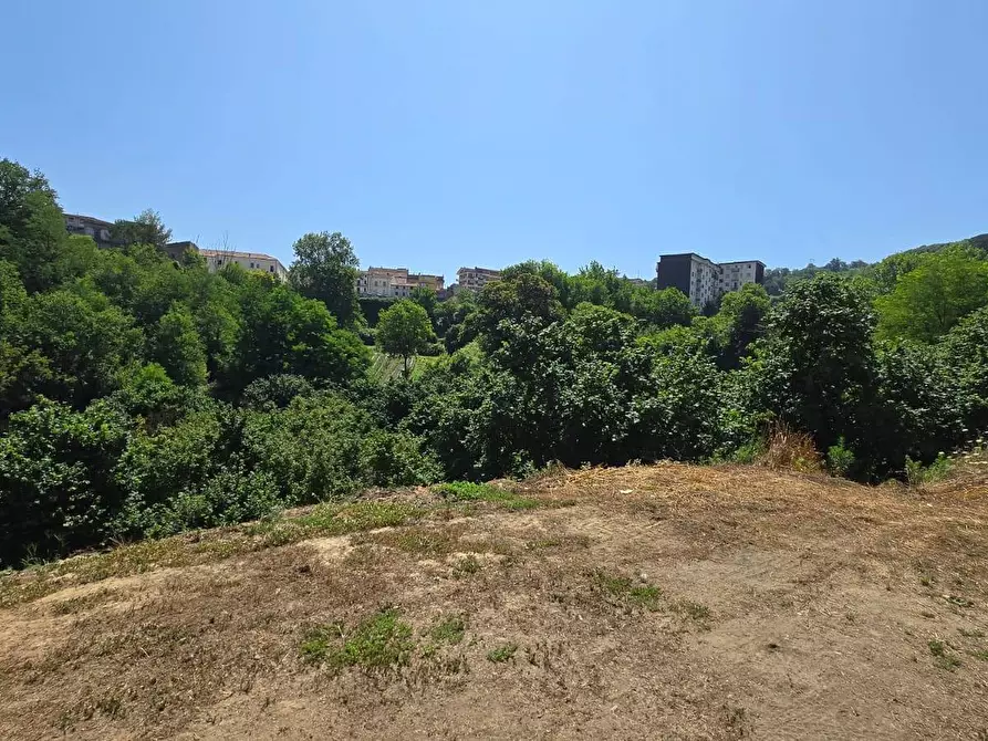 Immagine 4 di Terreno agricolo in vendita  in Strada Provinciale 85 a Altavilla Irpina