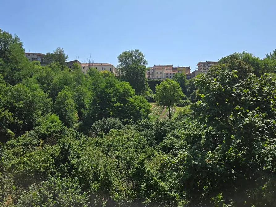 Immagine 5 di Terreno agricolo in vendita  in Strada Provinciale 85 a Altavilla Irpina