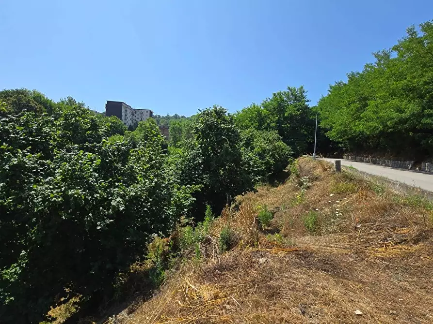 Immagine 6 di Terreno agricolo in vendita  in Strada Provinciale 85 a Altavilla Irpina