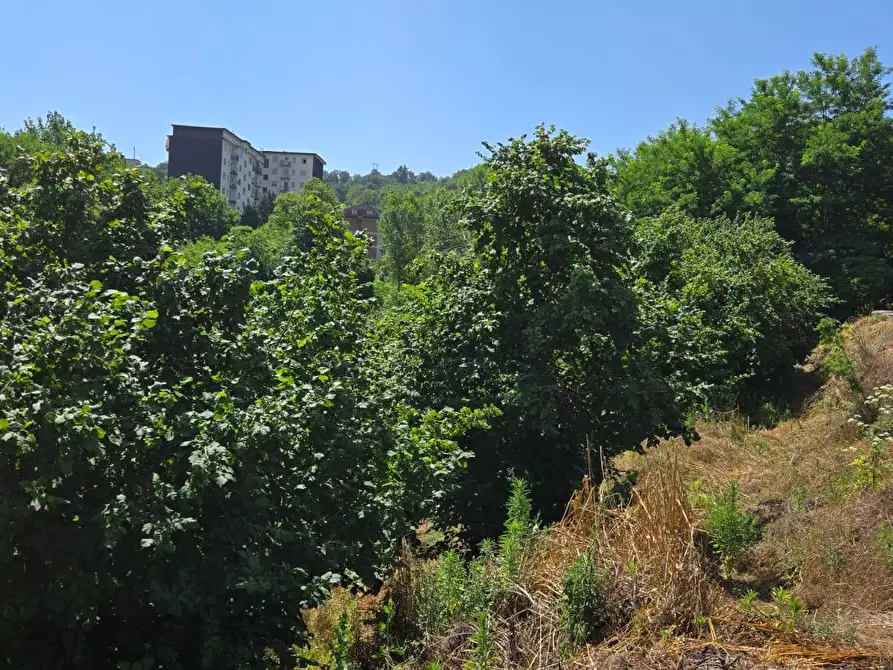 Immagine 7 di Terreno agricolo in vendita  in Strada Provinciale 85 a Altavilla Irpina