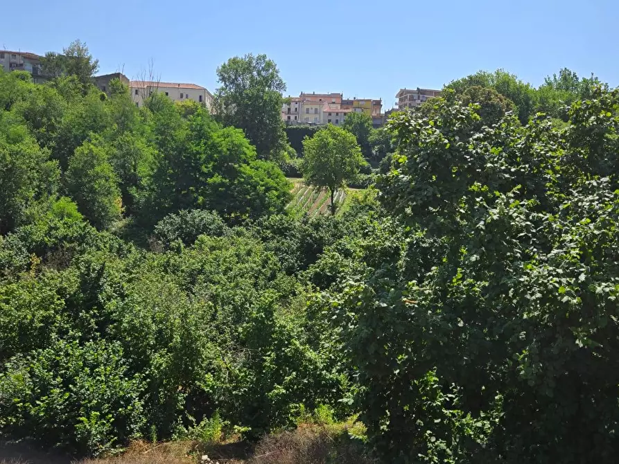 Immagine 8 di Terreno agricolo in vendita  in Strada Provinciale 85 a Altavilla Irpina
