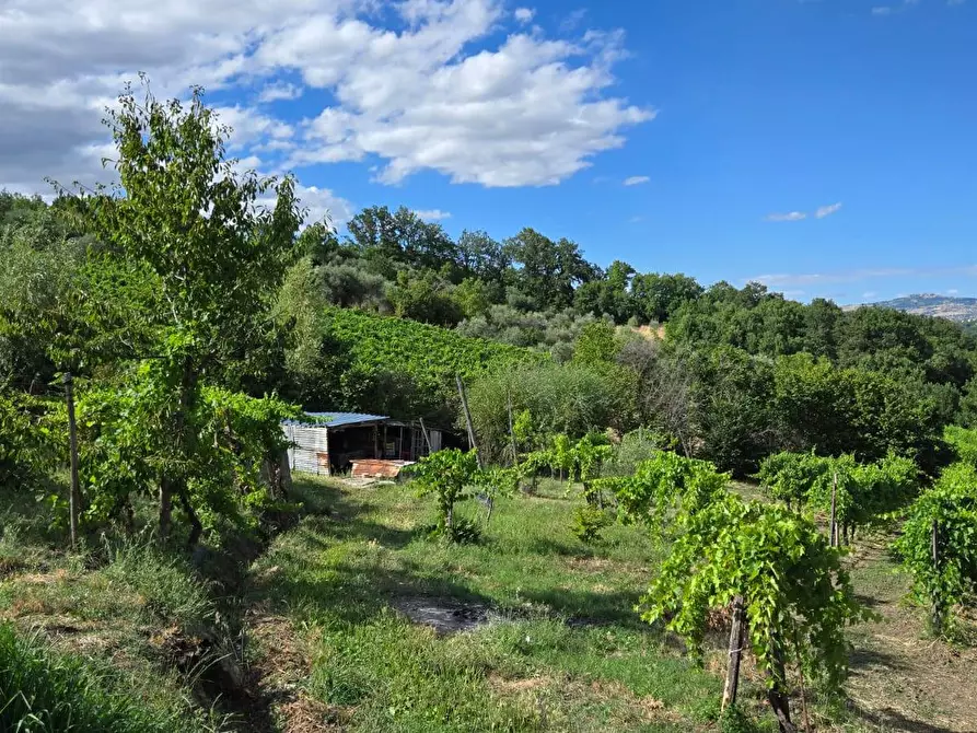 Immagine 4 di Villetta a schiera in vendita  in C/da Saraceno a Andretta