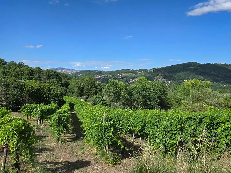 Immagine 5 di Villetta a schiera in vendita  in C/da Saraceno a Andretta