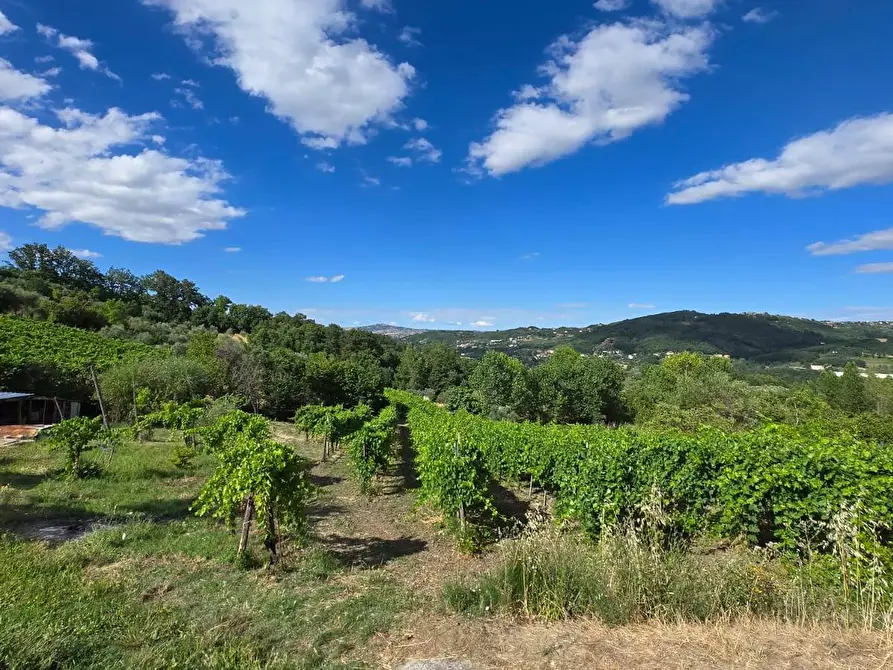 Immagine 6 di Villetta a schiera in vendita  in C/da Saraceno a Andretta