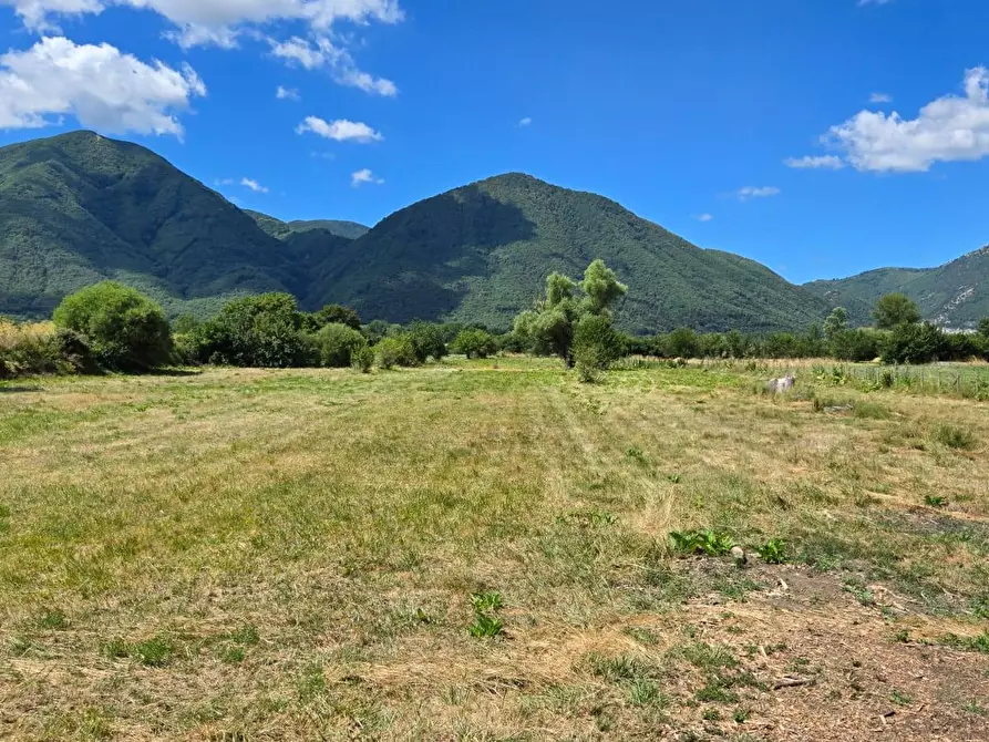 Immagine 7 di Terreno agricolo in vendita  in Via Sava a Volturara Irpina